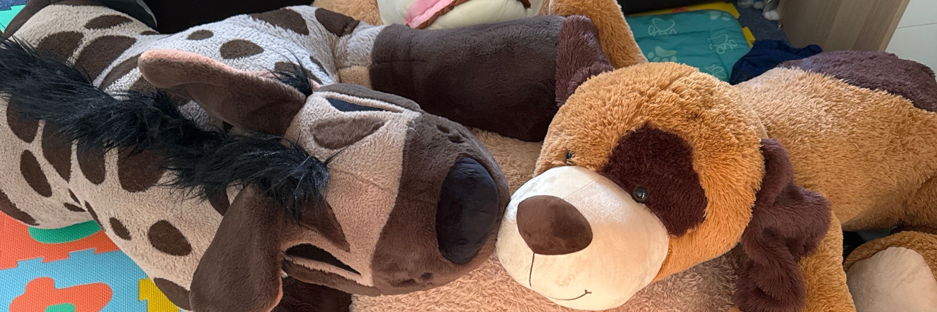 Binky 🔜 CFZ, Pawsome, EF