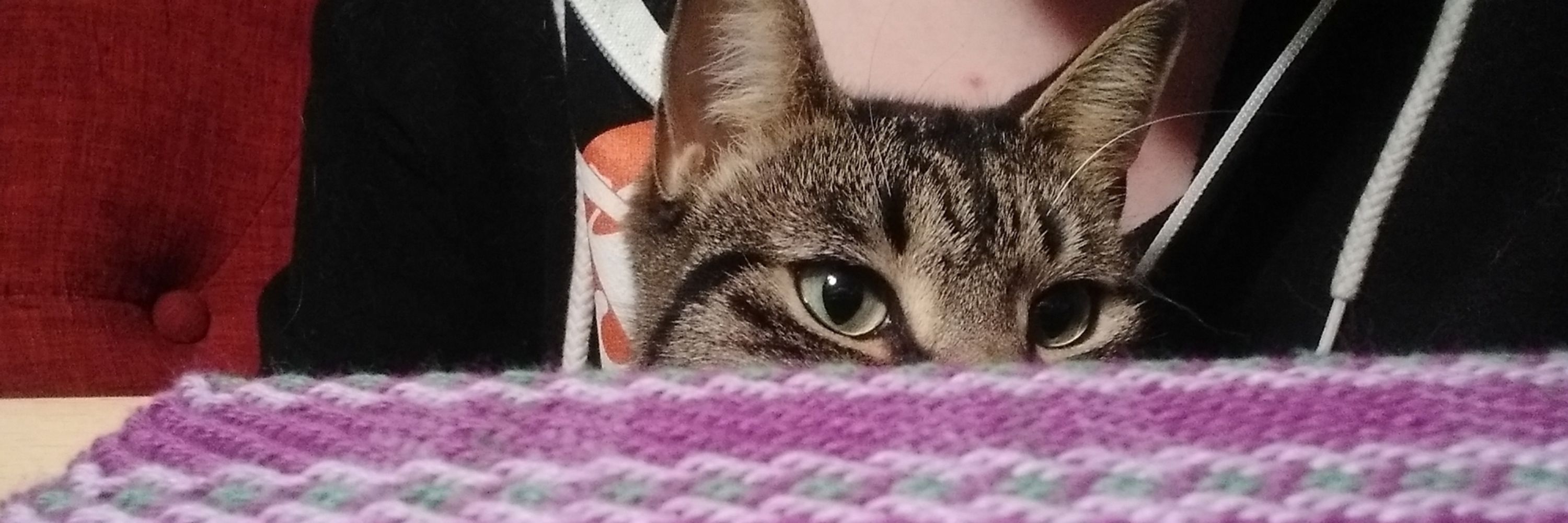 Stella