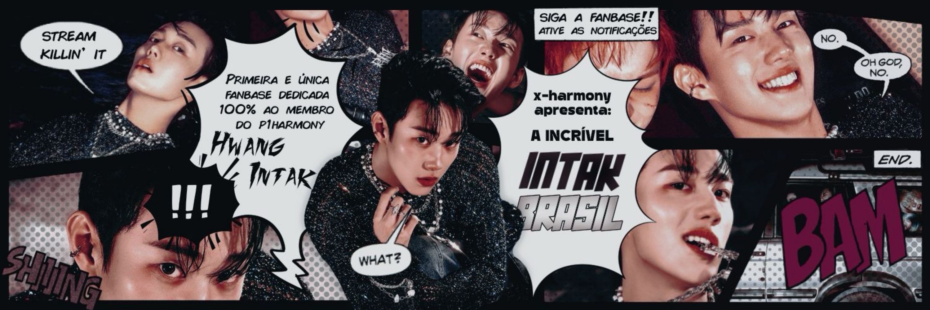 Hwang Intak Brasil