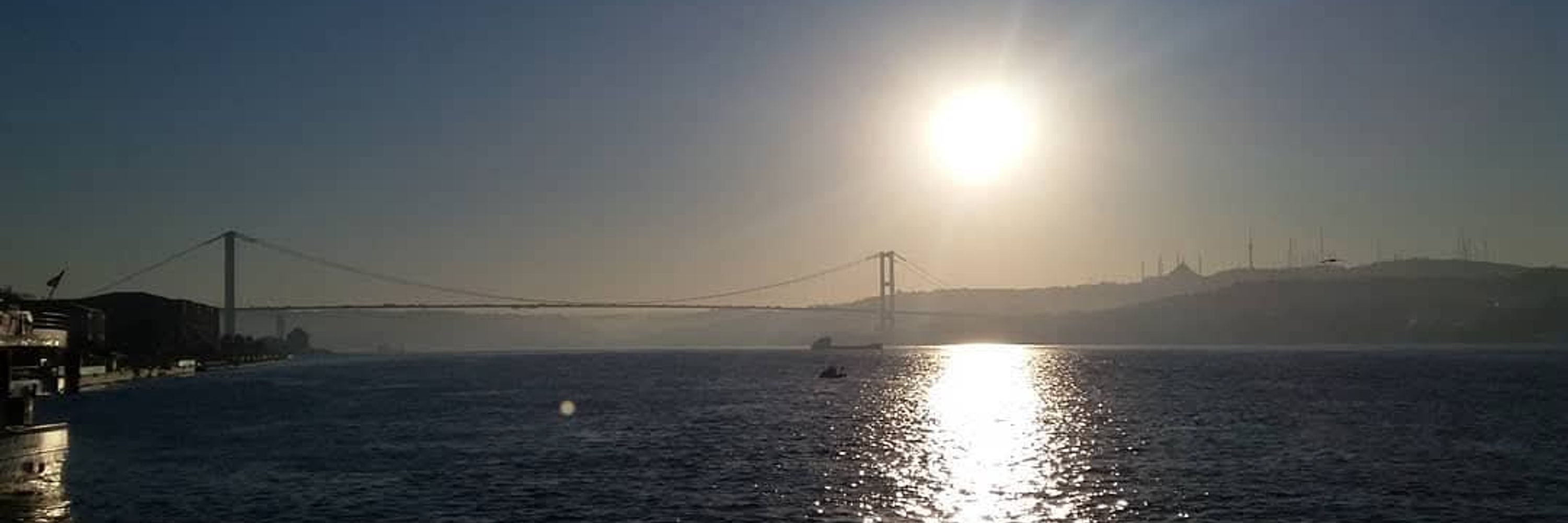 Tuğçe Kayaarası 