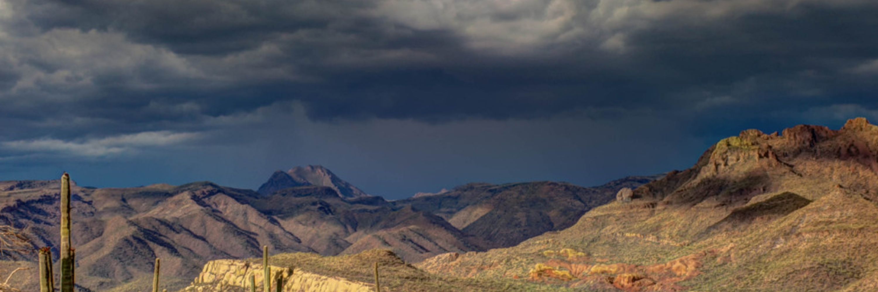 Arizona Independent Voter's Network