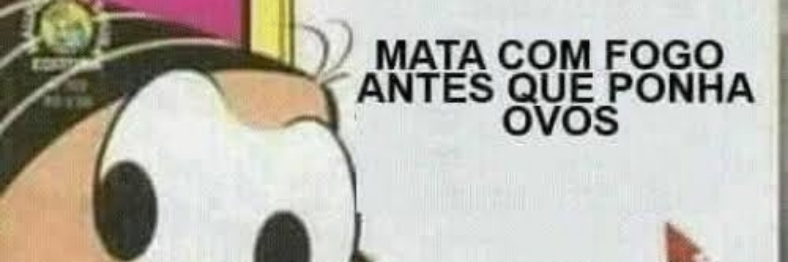 Gilson Rosa