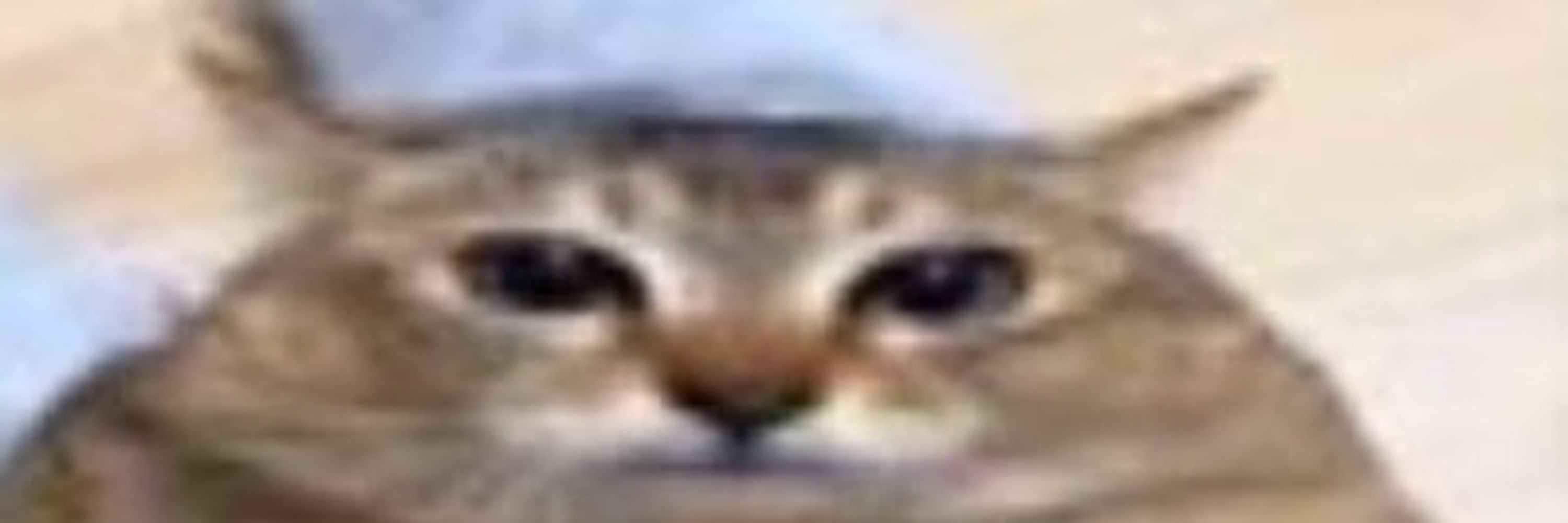 Yan