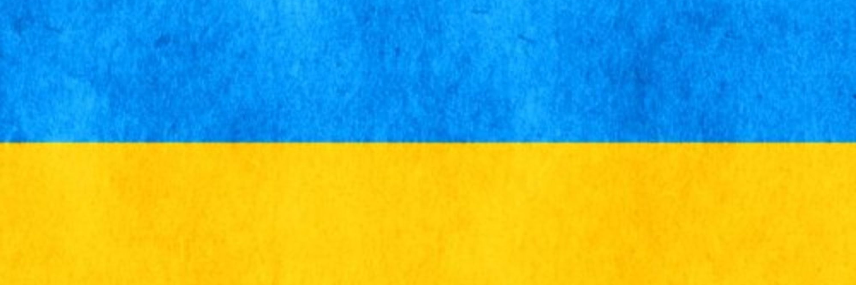 Rouble Destroying Fella 🇺🇦