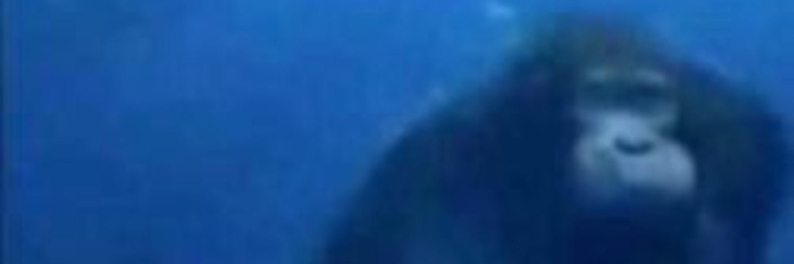 instance