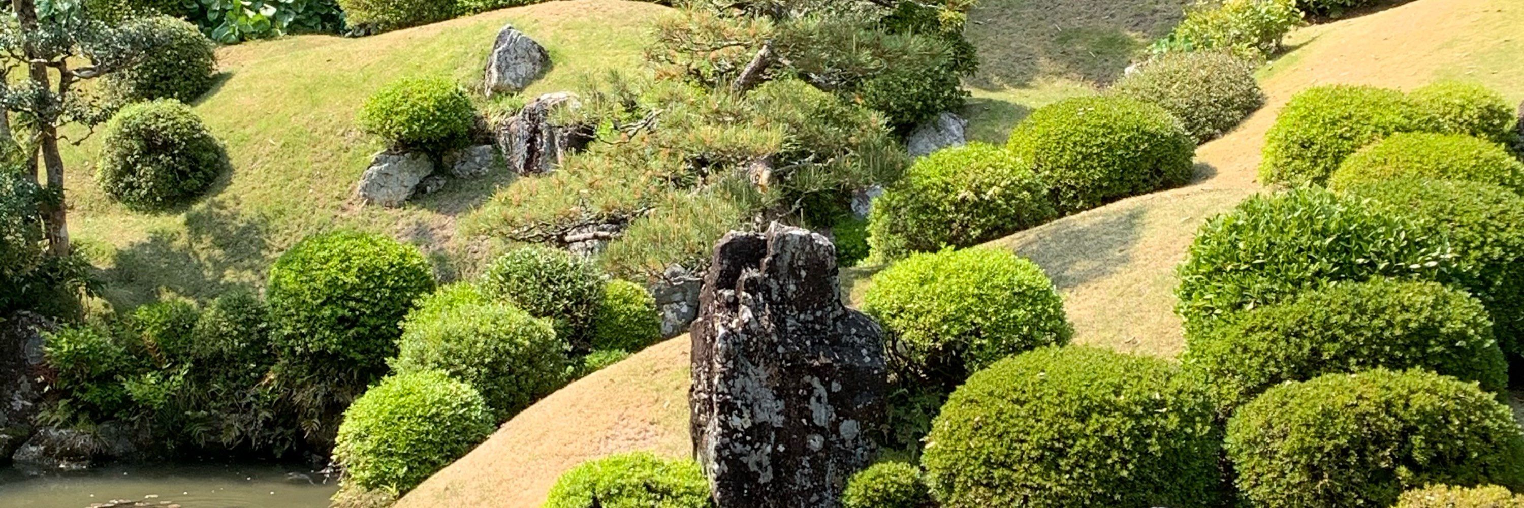 海月