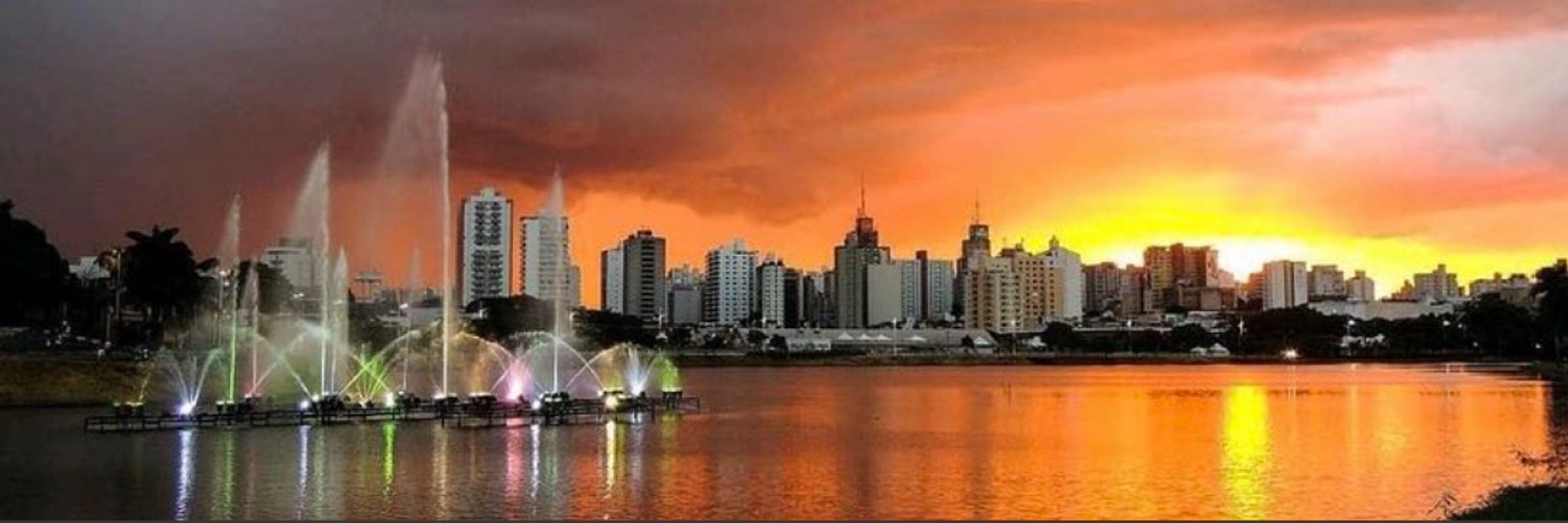 Marcelo A Nakazone
