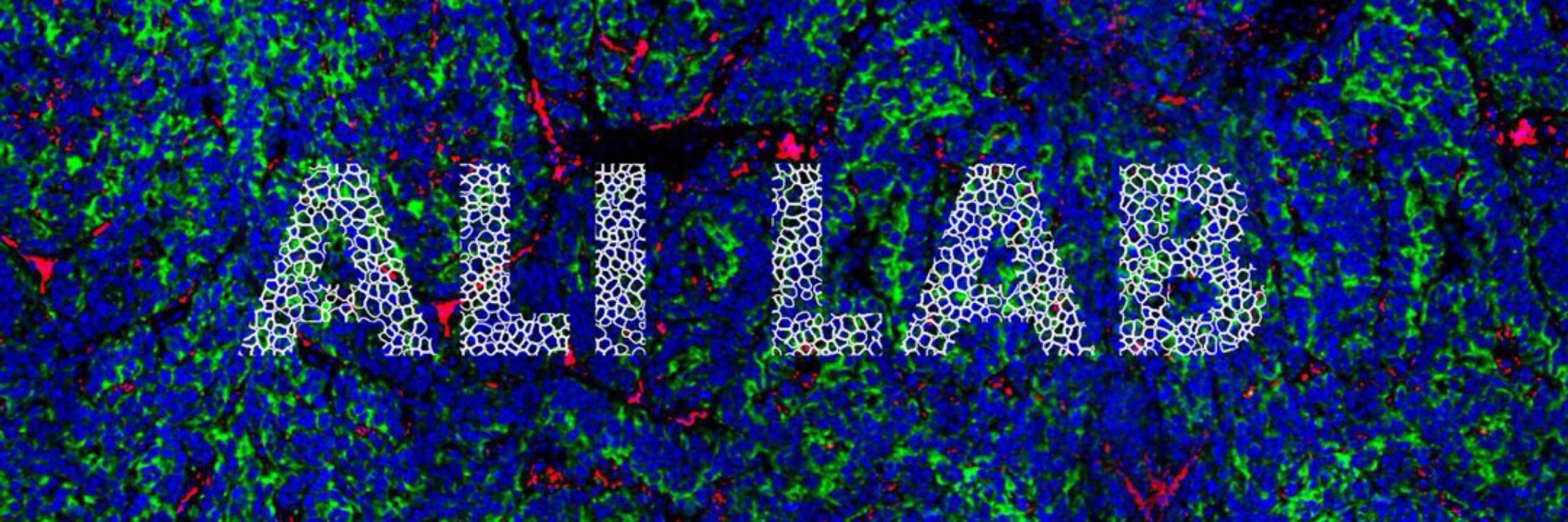 Raza Ali Lab