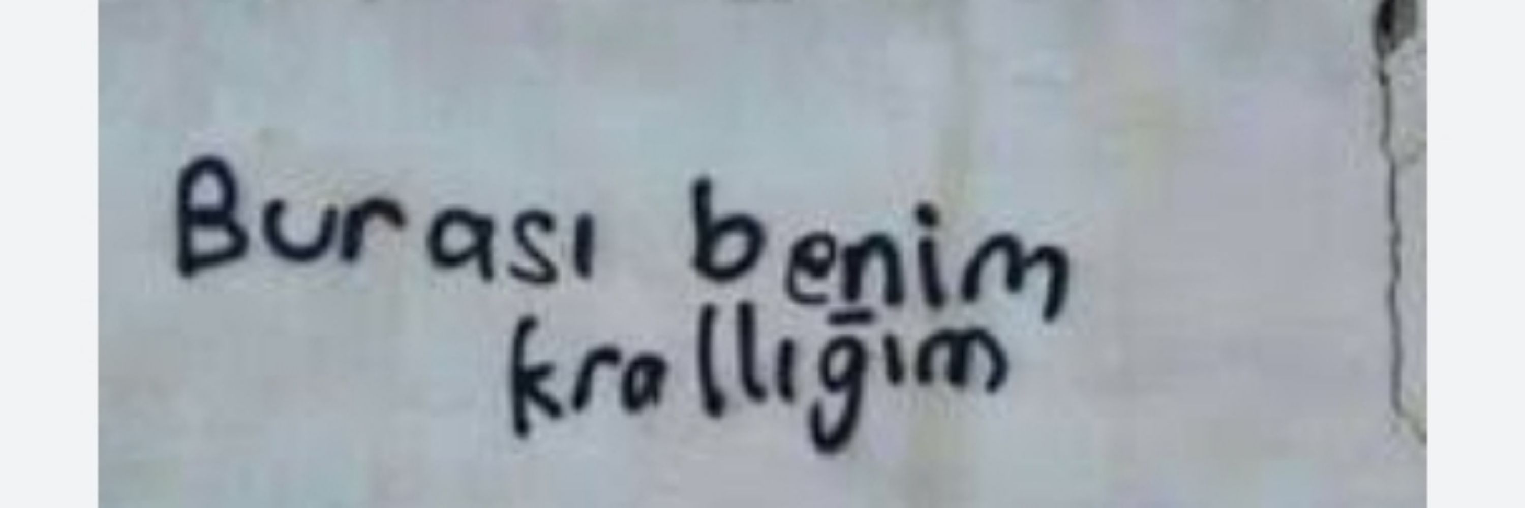 Dinazort