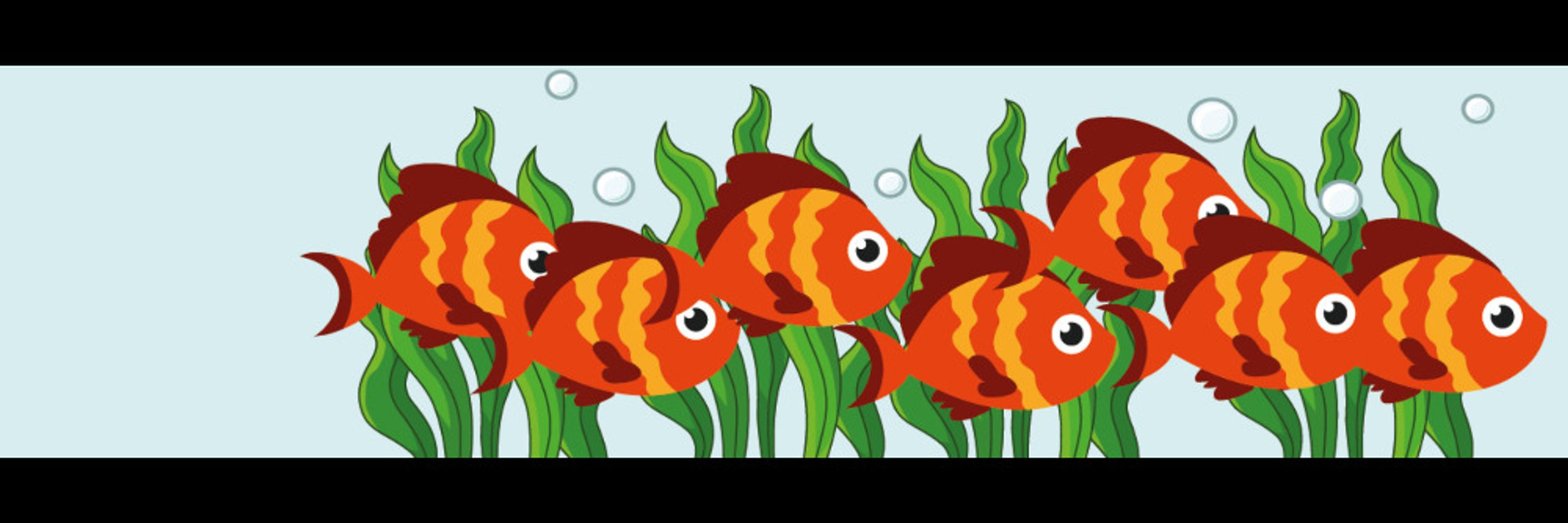 Goldfish Yagami 🏳️‍⚧️ 🇧🇪