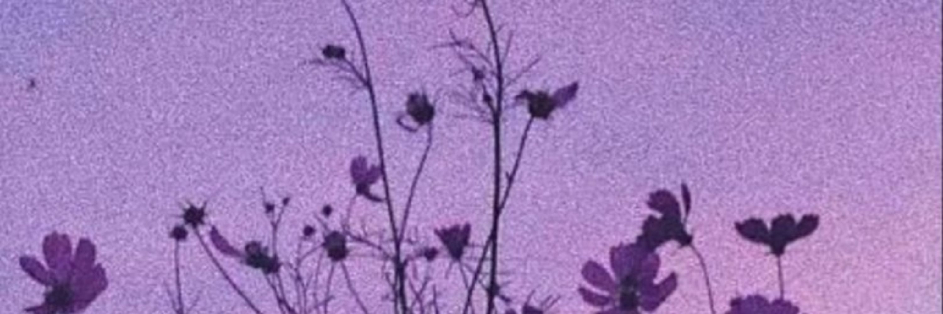 |☆✧𝓣𝓱𝓮 𝓔𝓷𝓭 𝓘𝓼 𝓗𝓮𝓻𝓮 ✧☆| Nix 🗝📜/🌳🧪