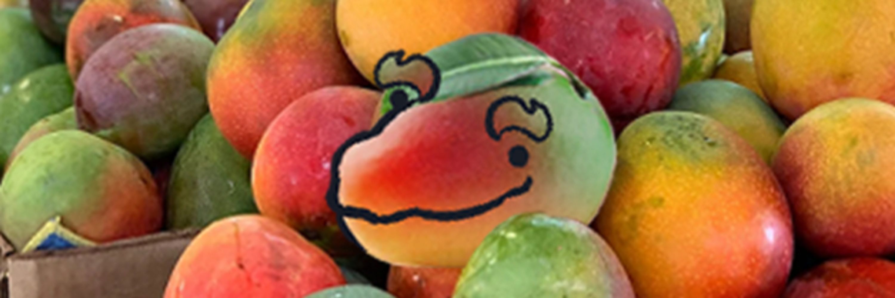 Mango Drake Johaneas 🥭🦎