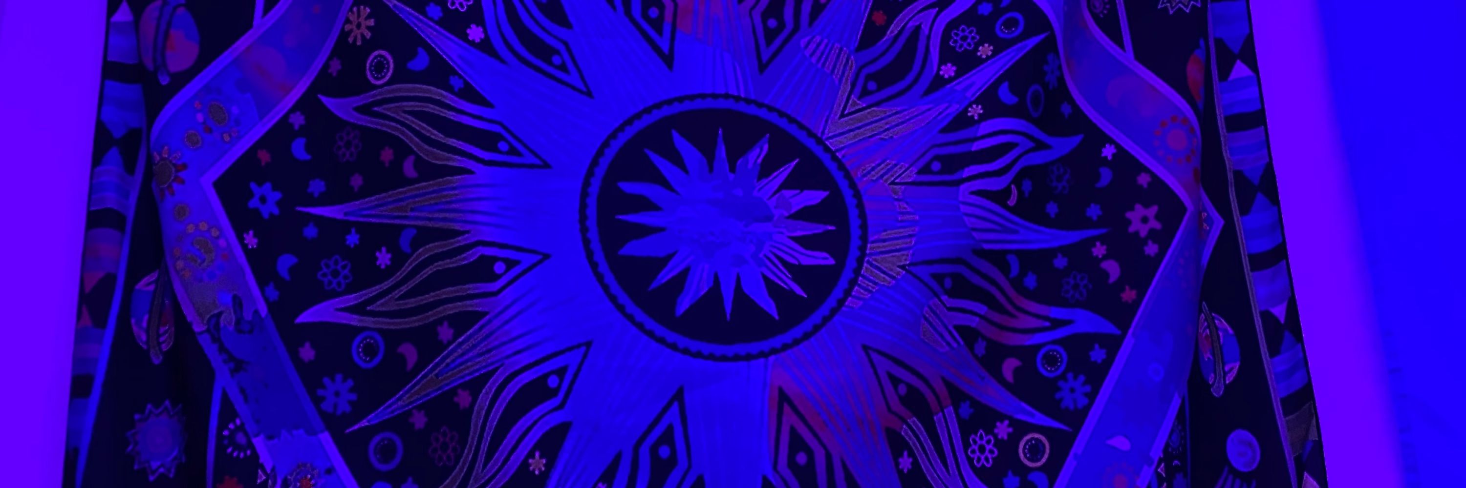 tara 🏳️‍⚧️