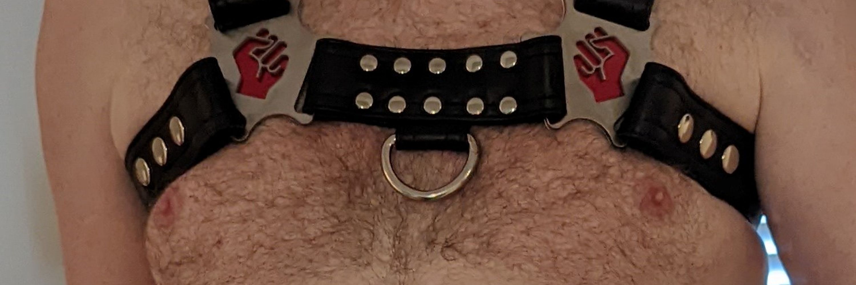 Master Rawger / Skullfucks & Fisting For Boy Holes! (he/him)