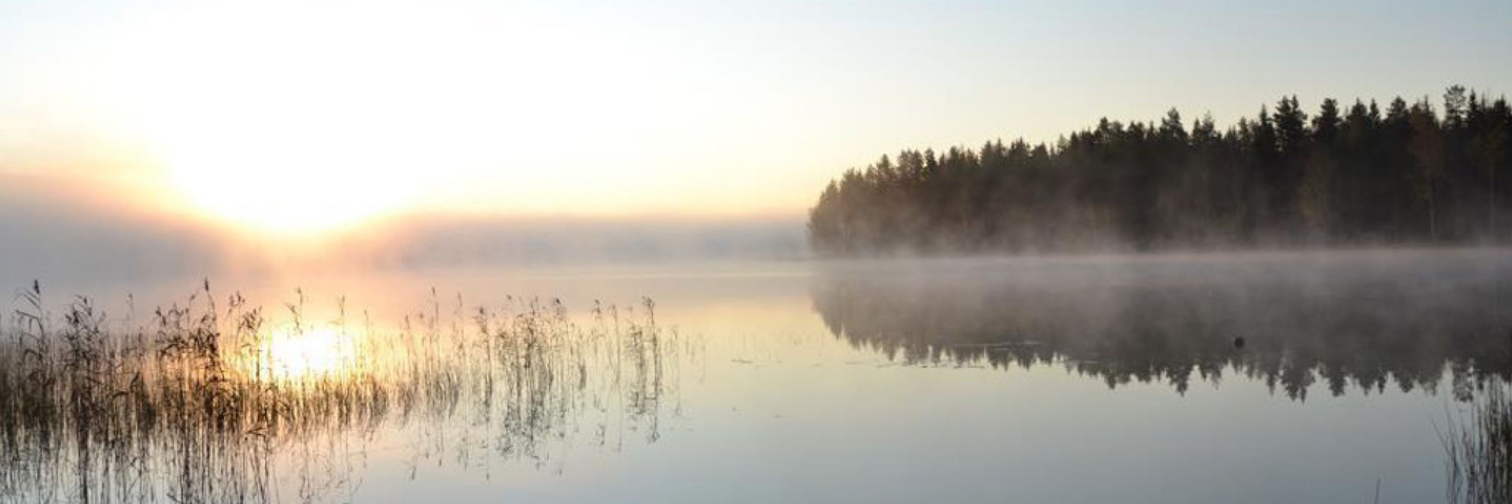 Kati Norppa