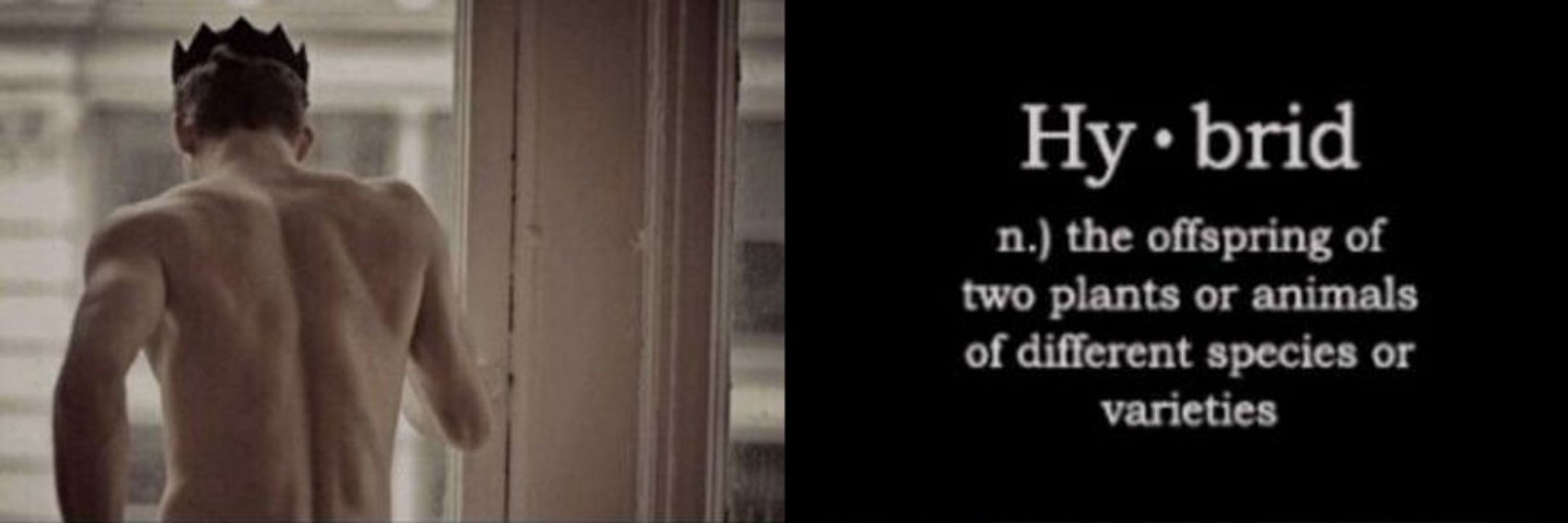 Niklaus Mikaelson (PARODY)