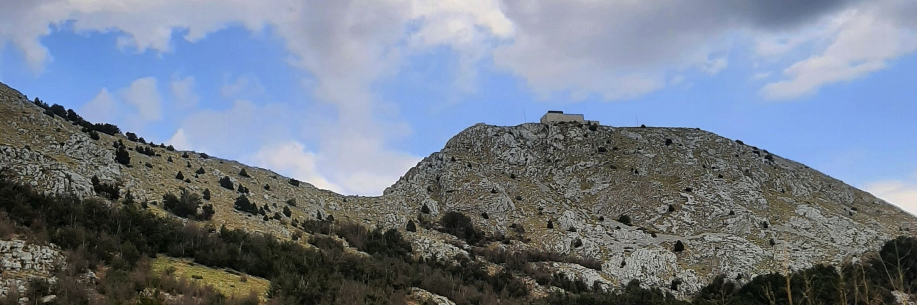 jabučka