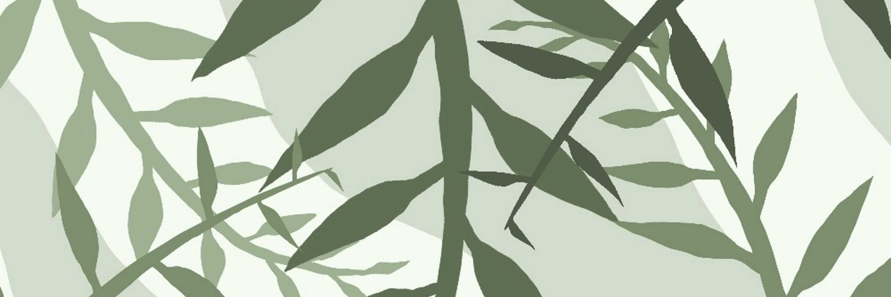 AChaoticKiwi