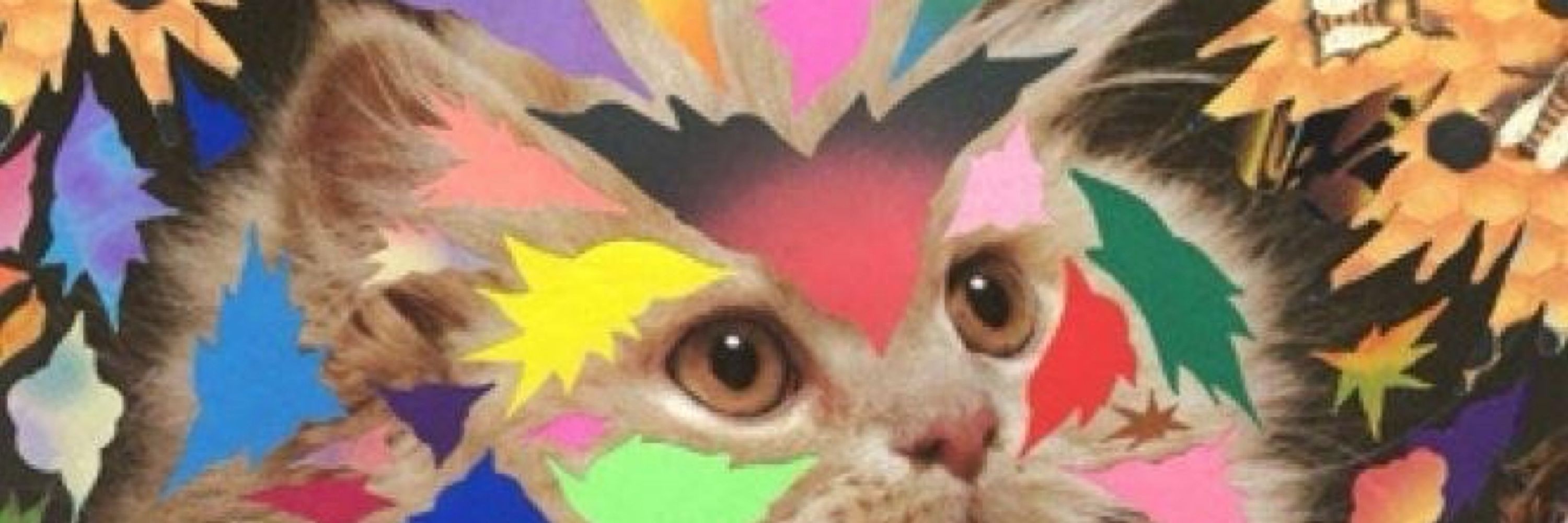 lädÿ ëllÿ thør øf müffïns