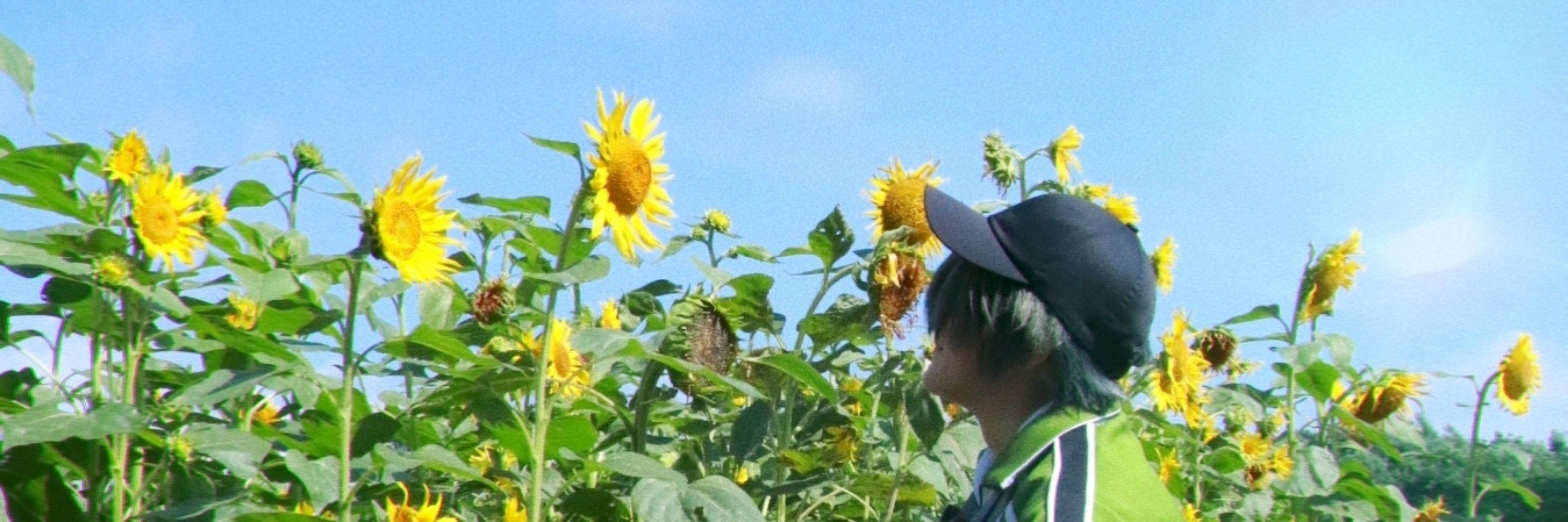 慎菜