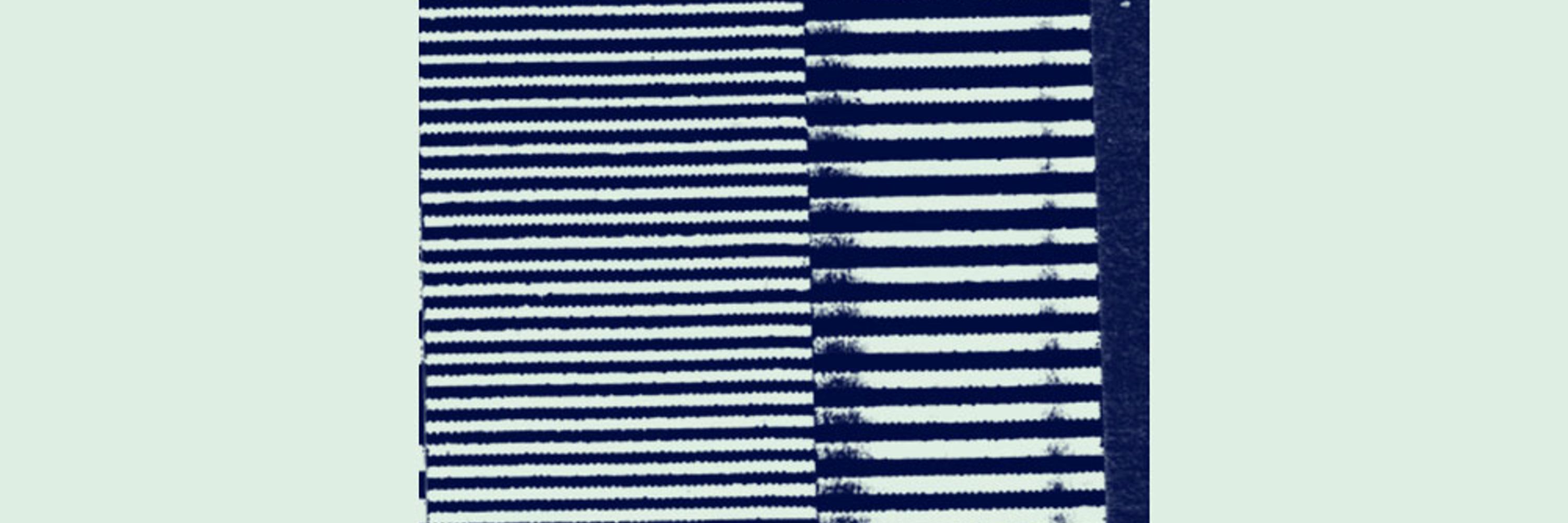 Counterflows Festival