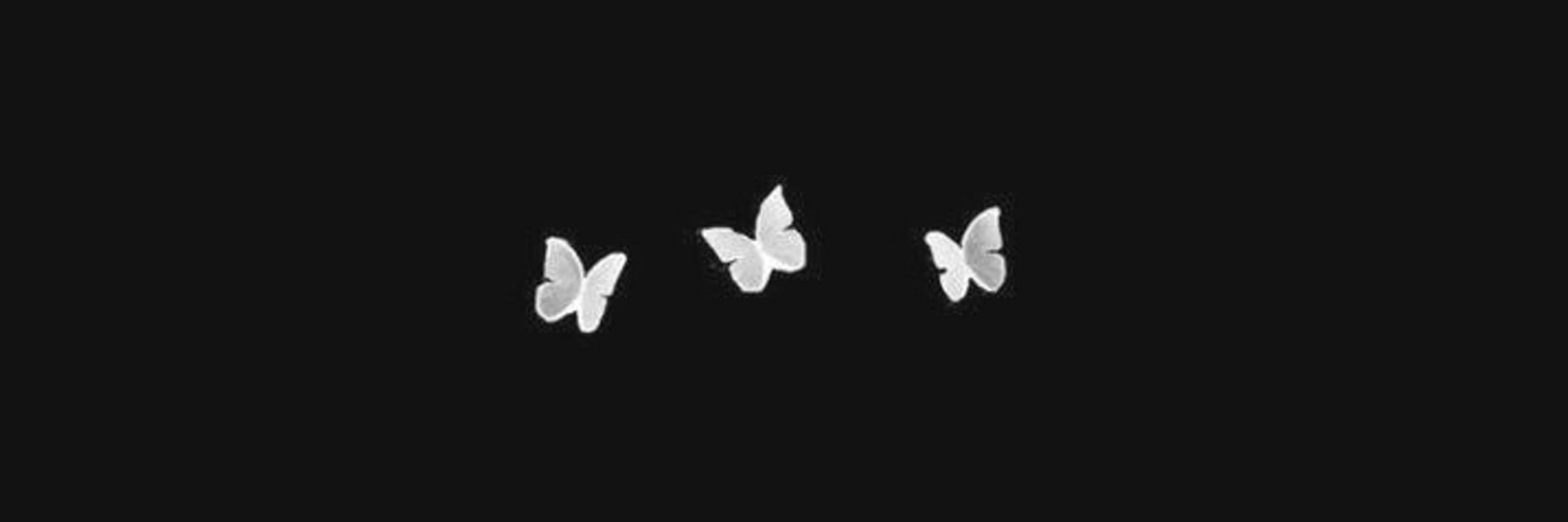 let 🦋