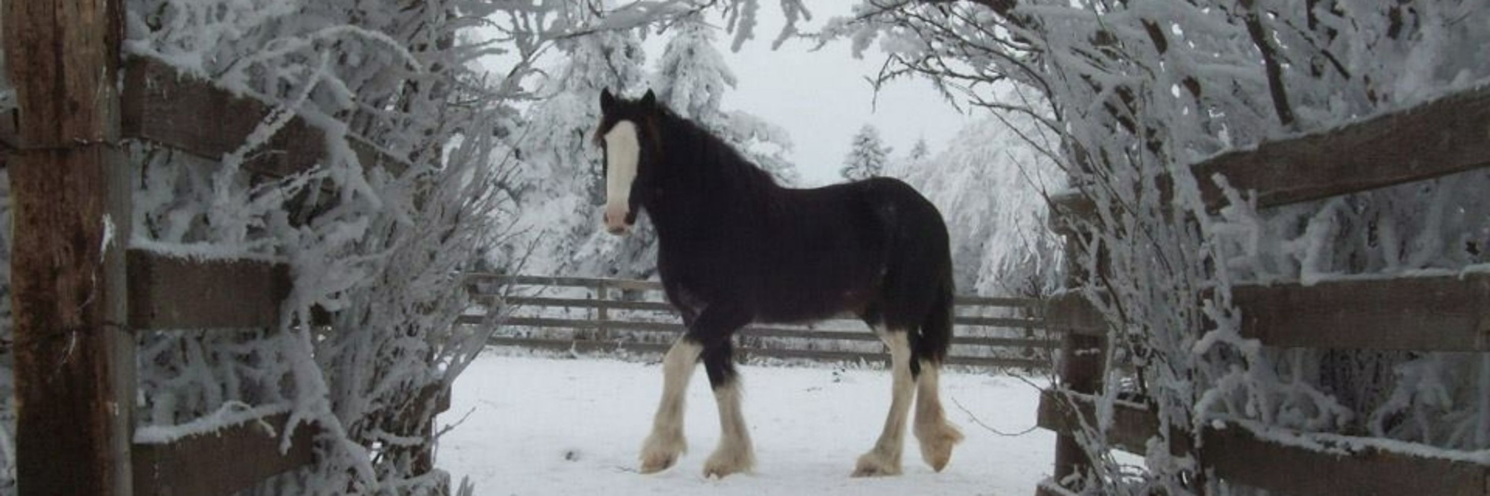 lorearthsky
