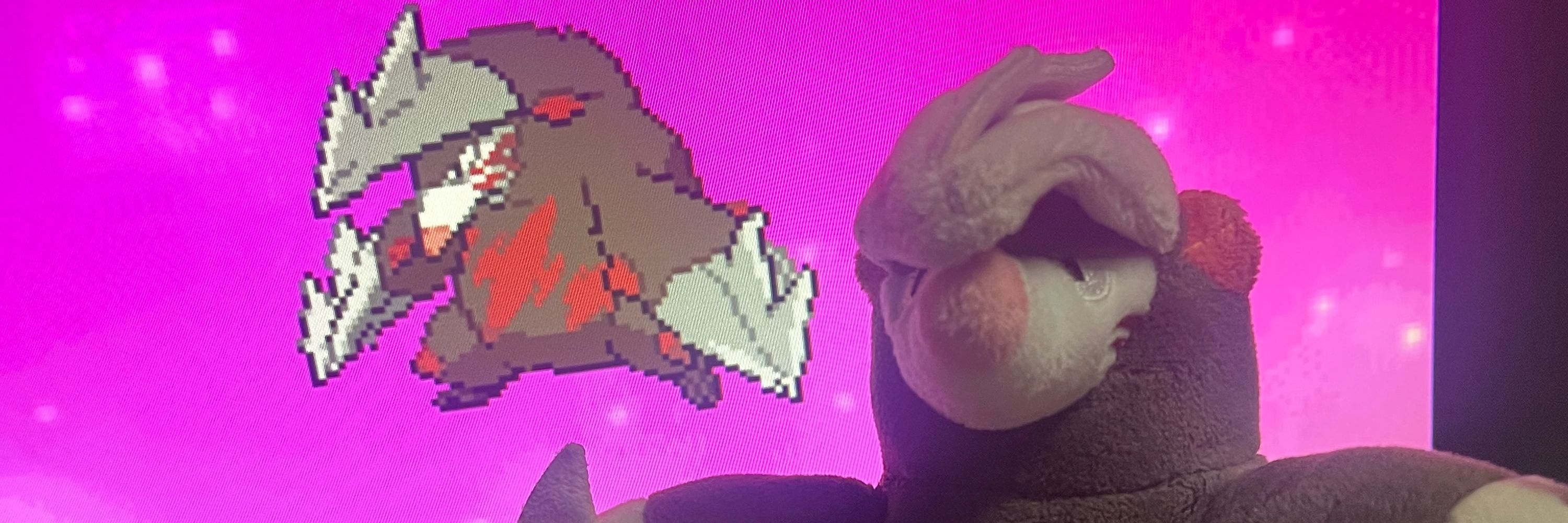 Sam Bam