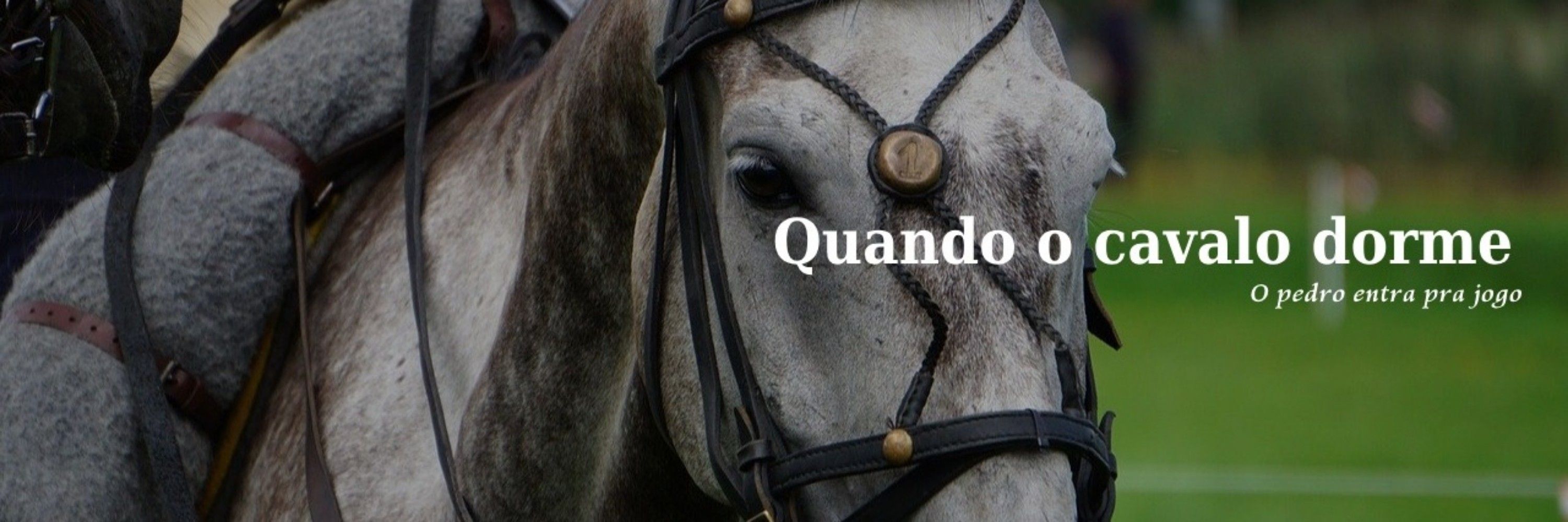 Heldinho