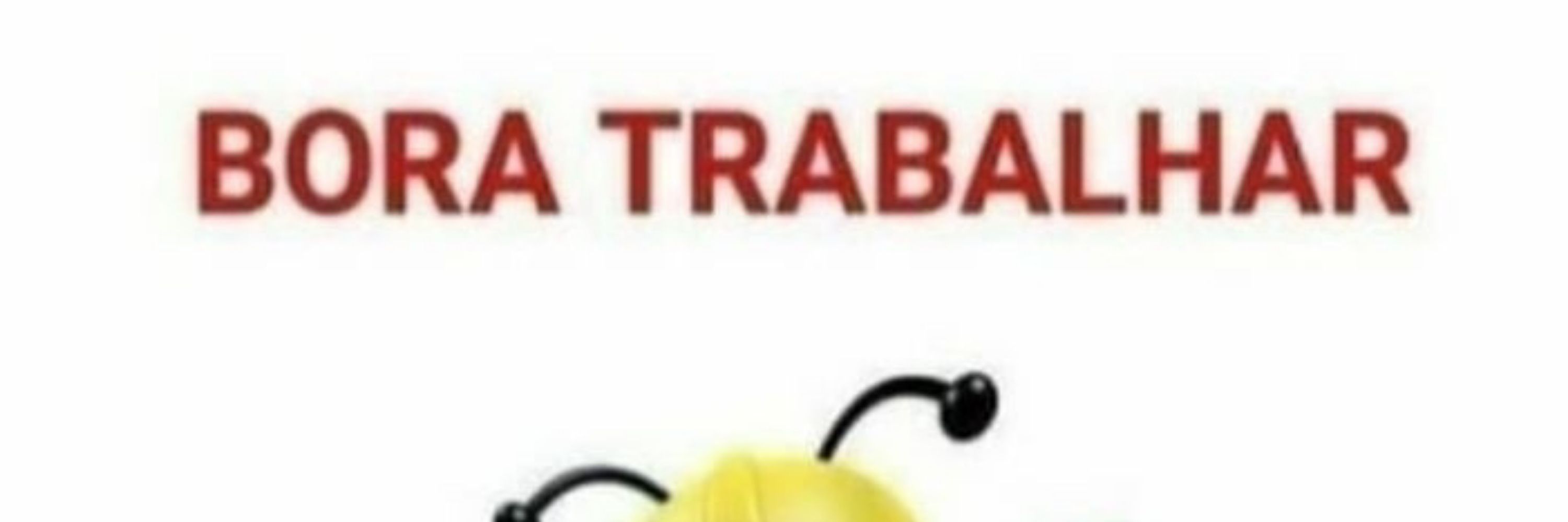 Abelha Operária
