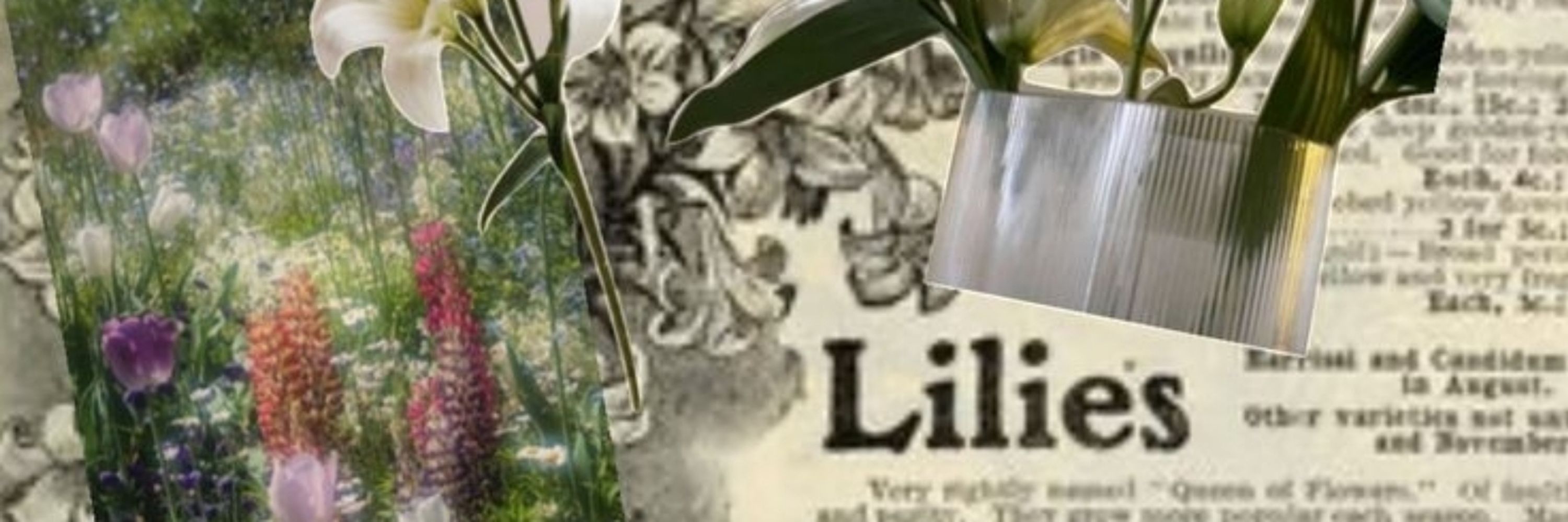 Lu