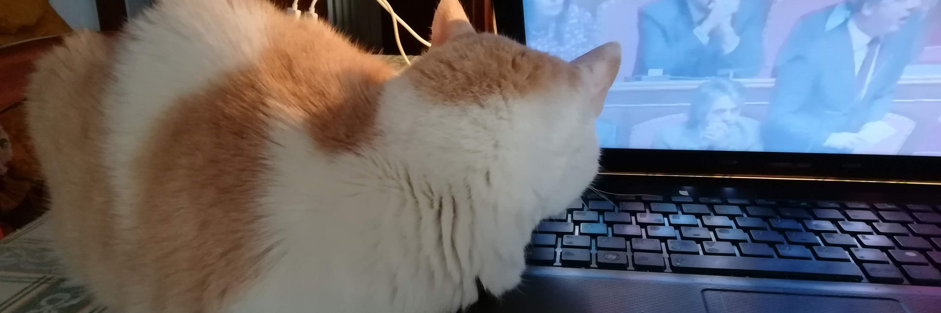 Paolo