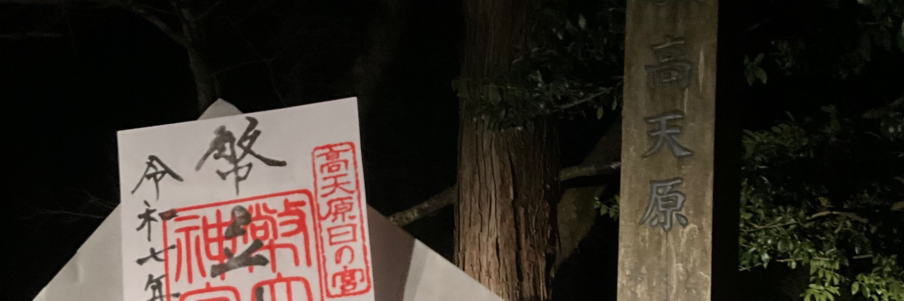 紫