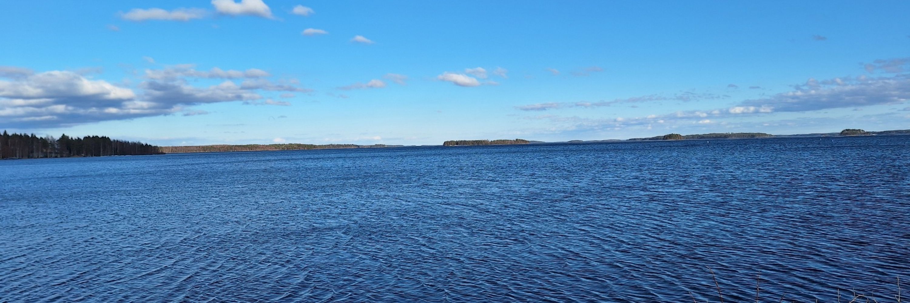 Saimaanrannanmaalari