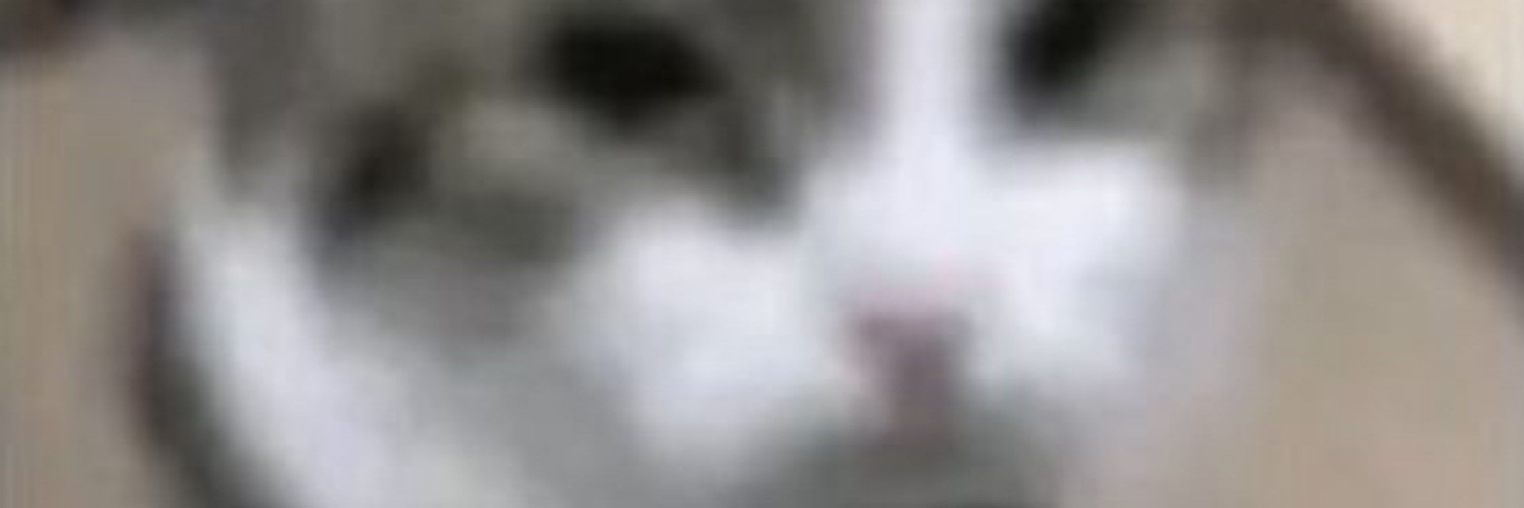 ly