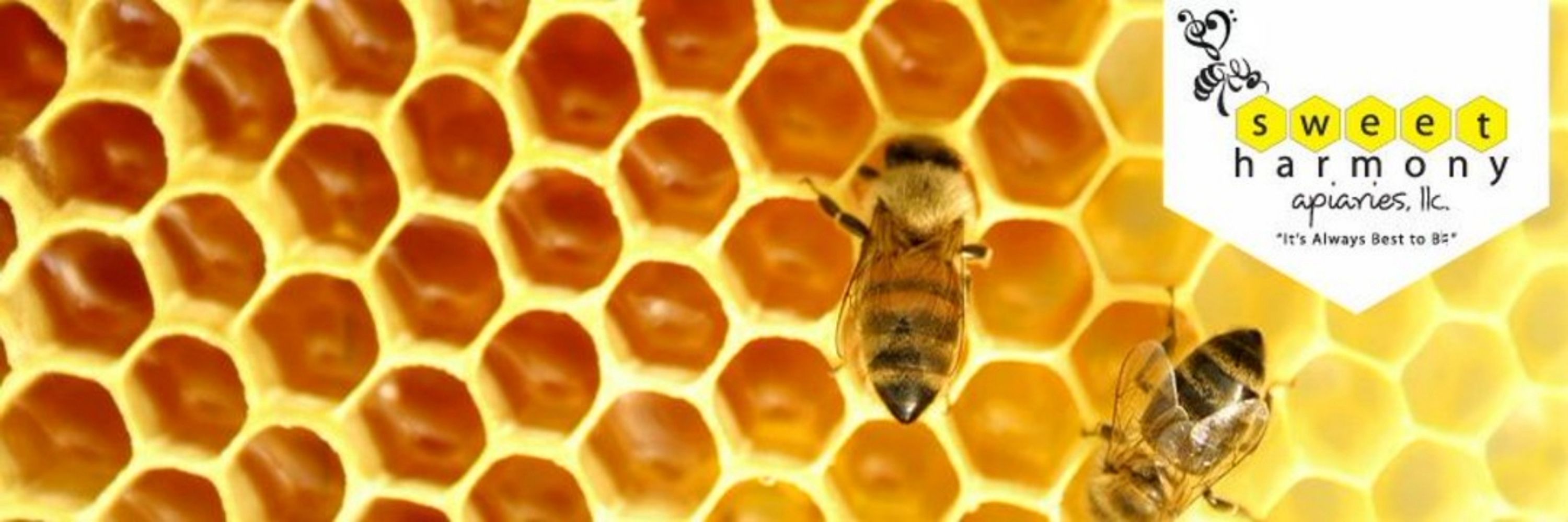 🐝 Sweet Harmony Apiaries 🐝