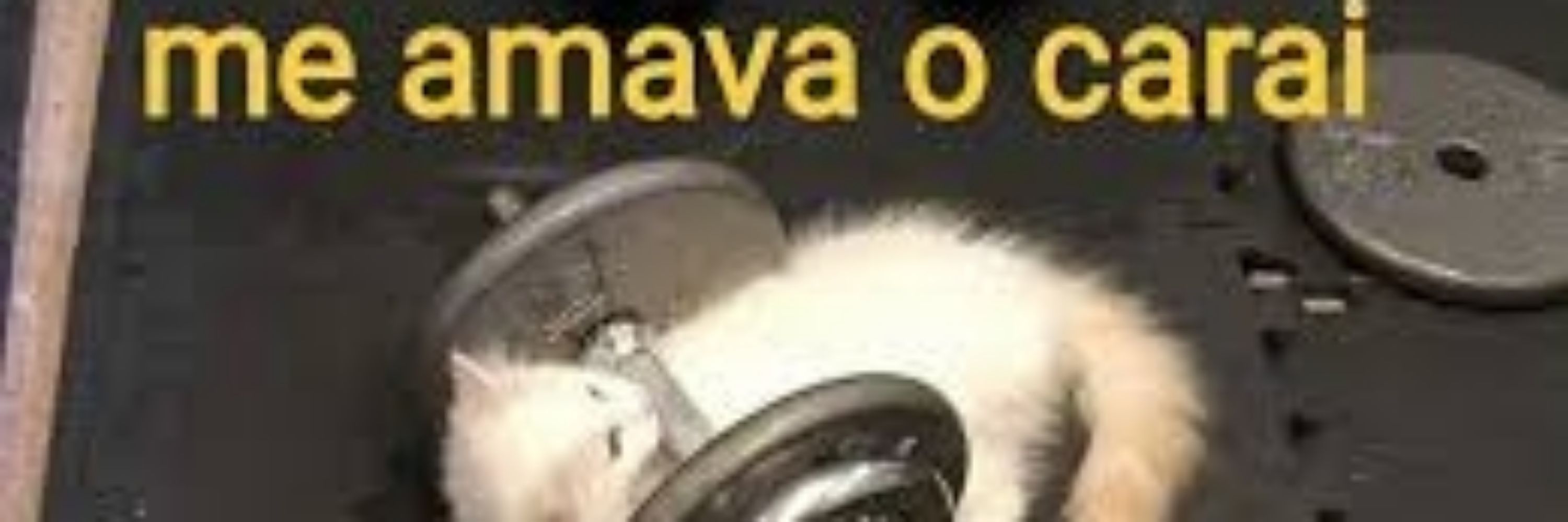 João Neto 