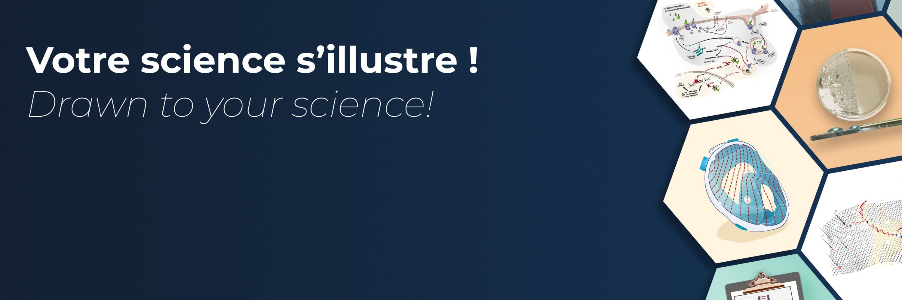  Agence IMPAKT Scientifik