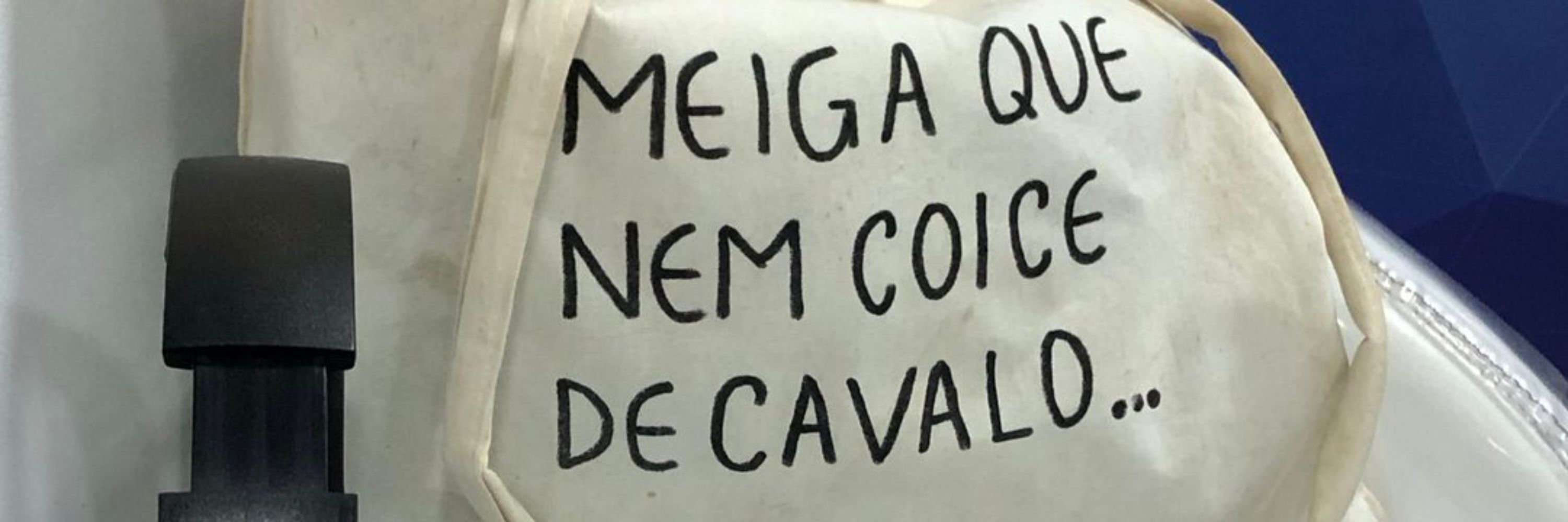 Gata de Schrödinger