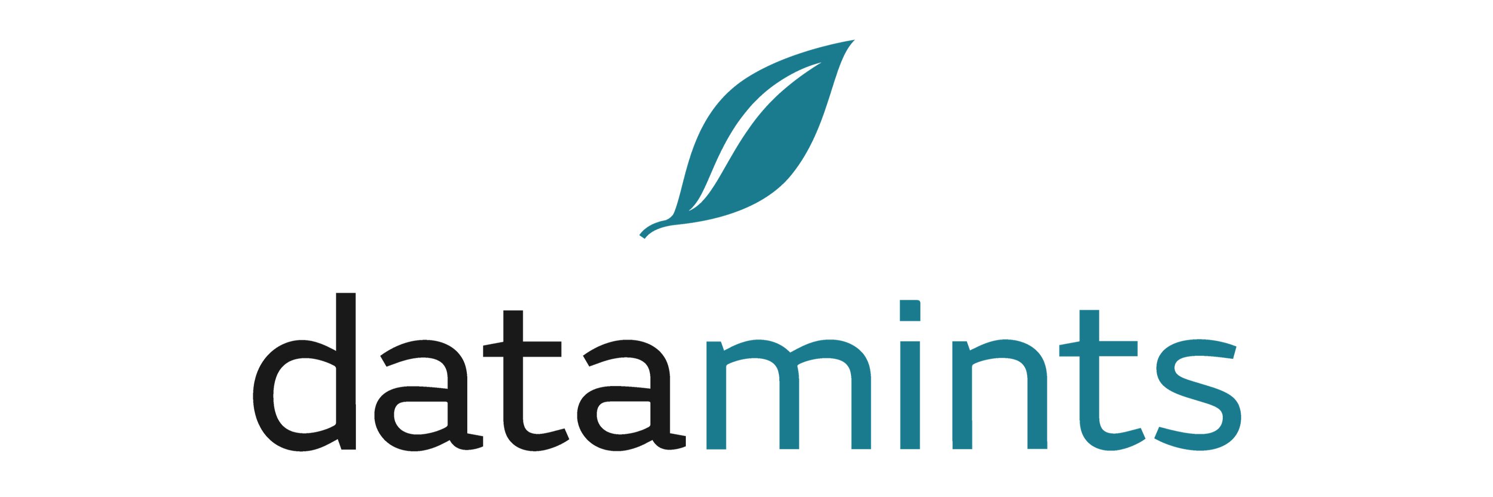datamints.com GmbH