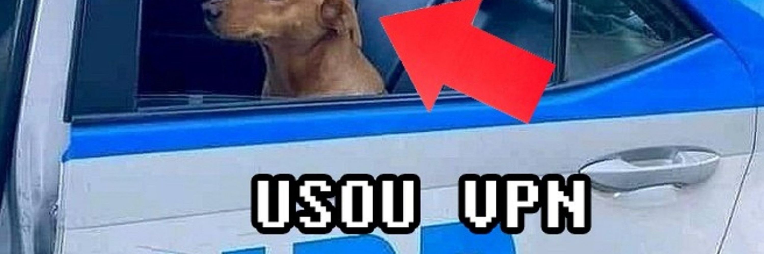 11009