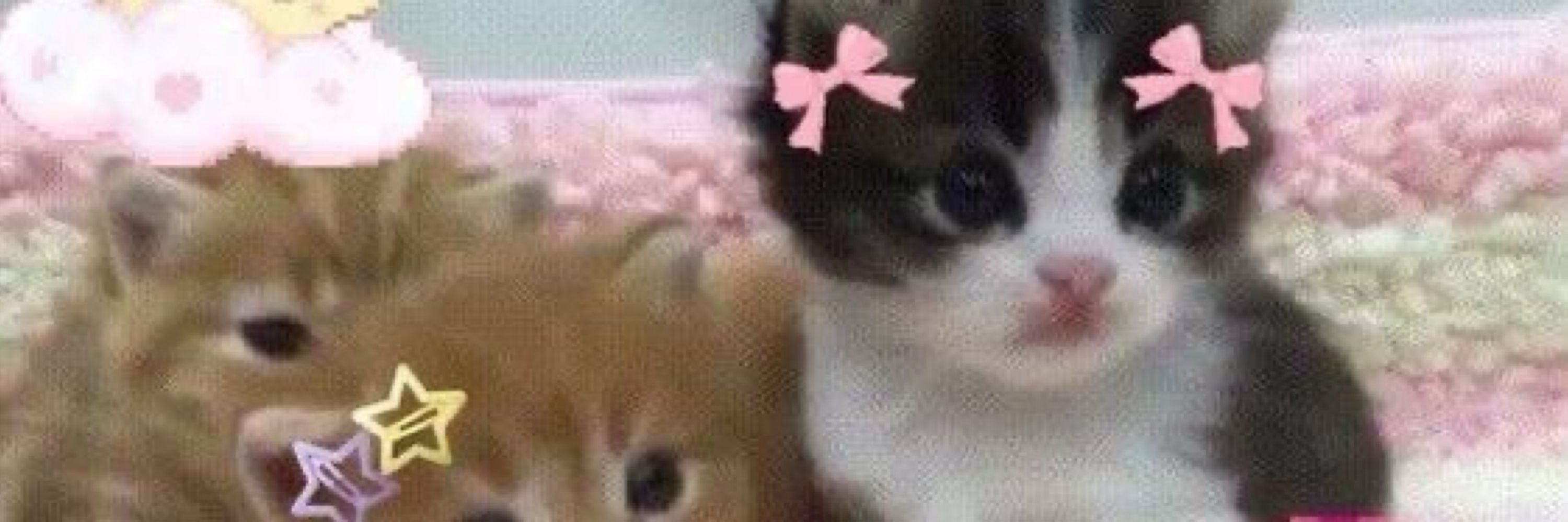 ukiyo 🍒