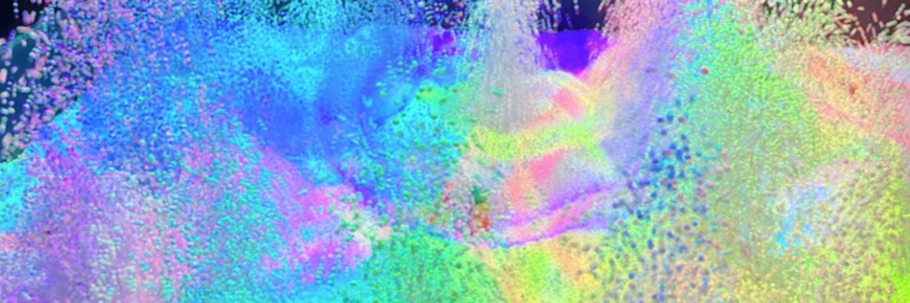 わっせ