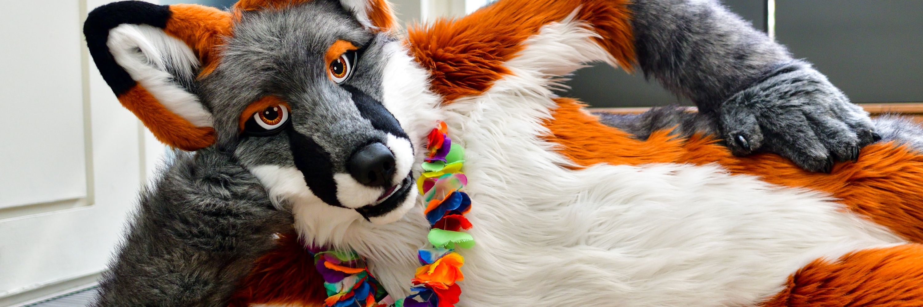 Reo Grayfox ... ➡️  AC