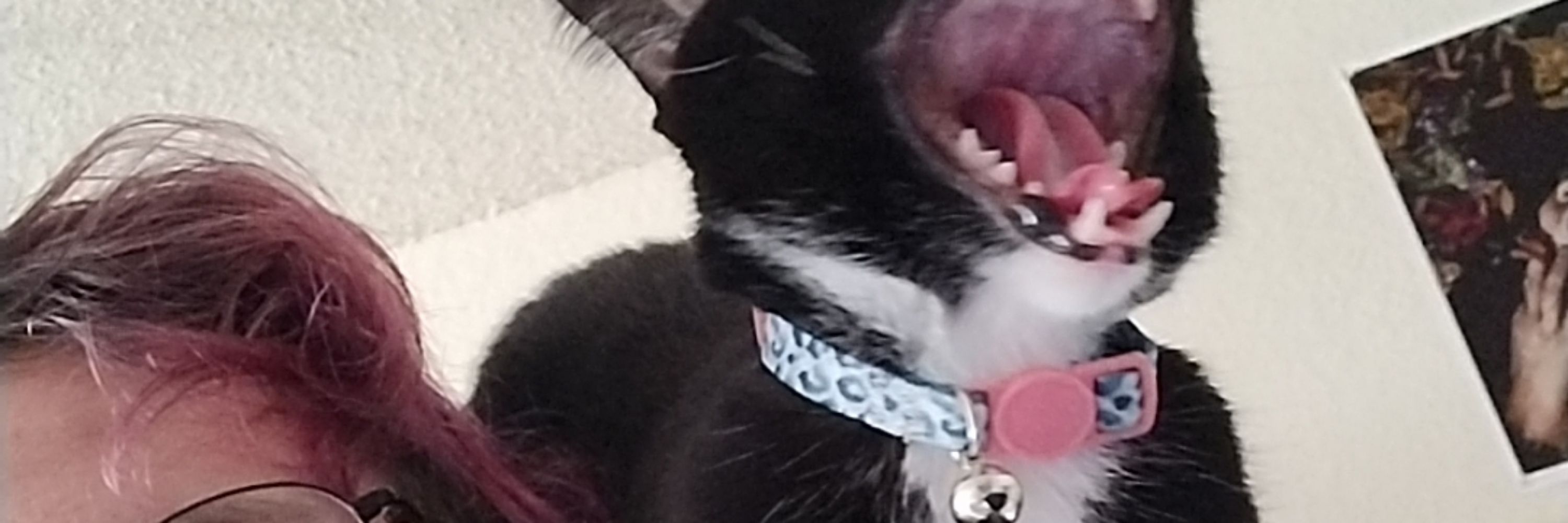 Victor