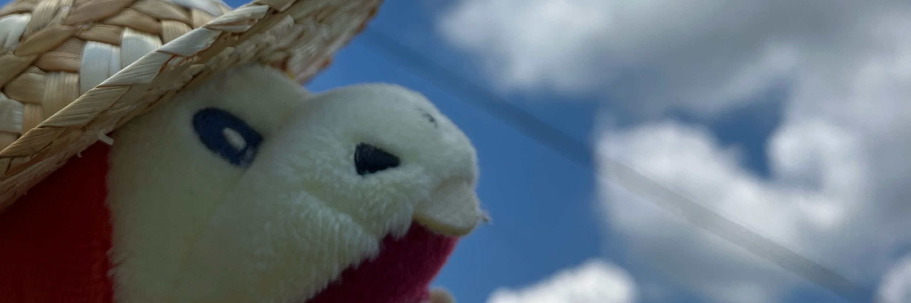 めこ