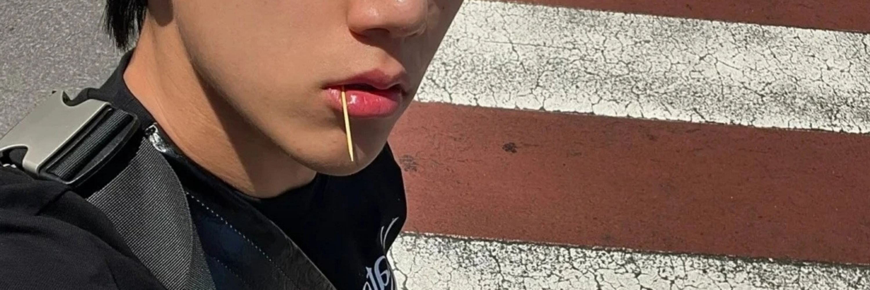 修狗爱主人✨