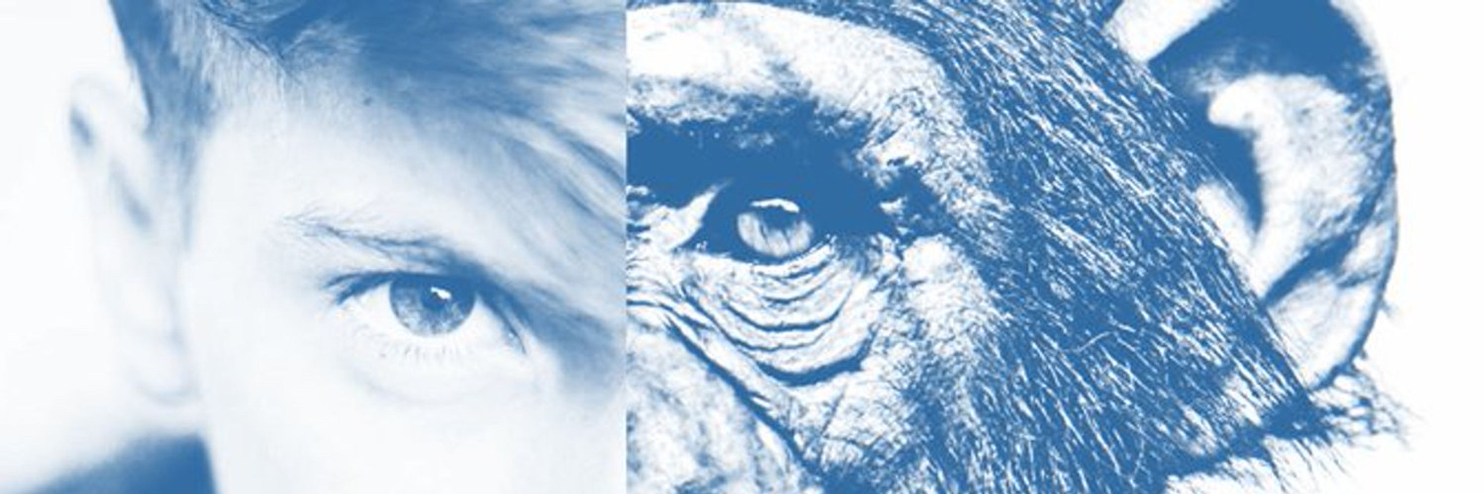 Comparative Minds Research Group