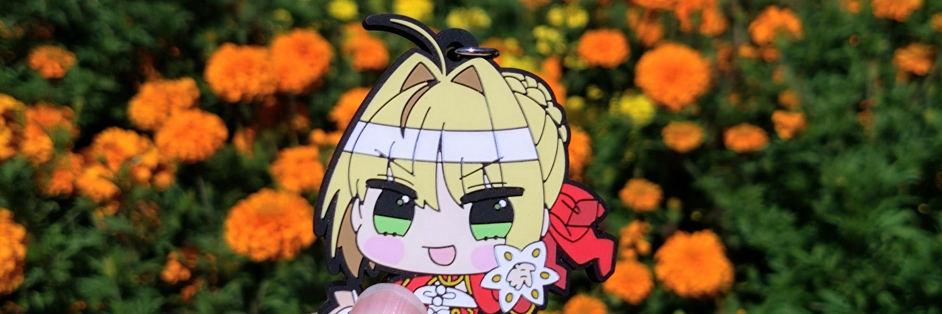 なぱです