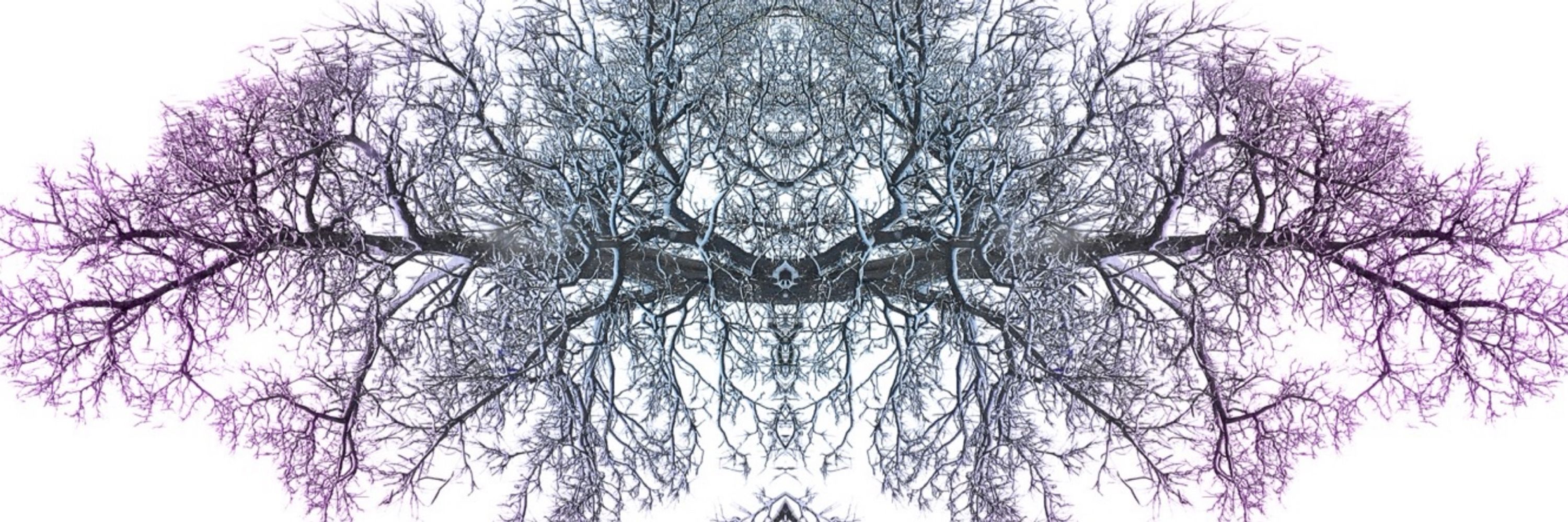 DancingTreeMama